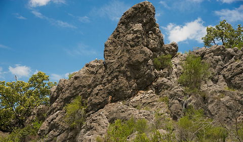 Verandah Cave - Hotel NSW 2
