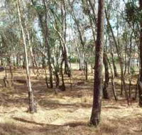 Chiltern-Mt Pilot National Park - Hotel NSW