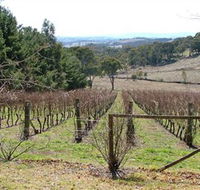 Habitat Vineyard - Hotel NSW
