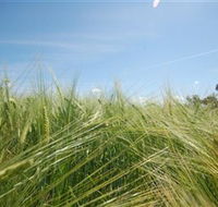 150 Degrees East Meridian - Hotel NSW