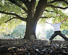 Albury Botanic Gardens - Hotel NSW 1