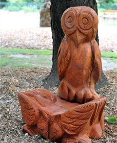 Albury Botanic Gardens - Hotel NSW 7