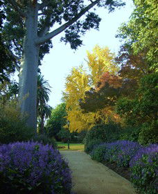Albury Botanic Gardens - Hotel NSW 4