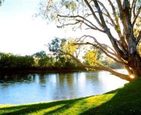 Albury - Murray River Precinct - Hotel NSW 0