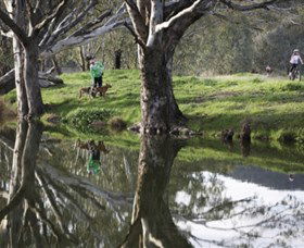 Albury - Murray River Precinct - Hotel NSW 3