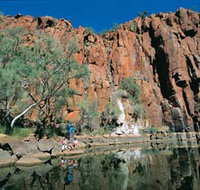Python Pool - Hotel NSW