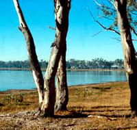 Lake Broadwater Conservation Park - Hotel NSW