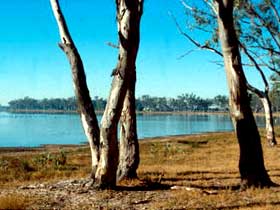 Lake Broadwater Conservation Park - Hotel NSW 0