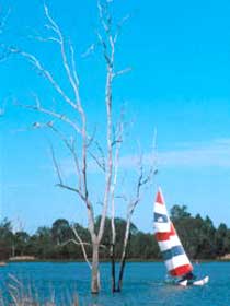 Lake Broadwater Conservation Park - Hotel NSW 2