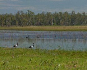 Lake Broadwater Conservation Park - Hotel NSW 1