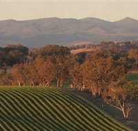 Angullong Wines - Hotel NSW