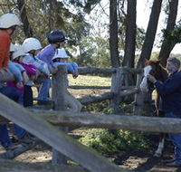 Harlow Park Horse Riding - Hotel NSW