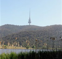 Black Mountain Peninsula - Hotel NSW
