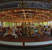 Merry-Go-Round - Hotel NSW