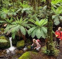 Baw Baw National Park - Hotel NSW