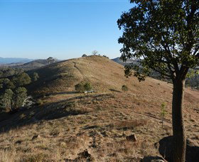 Urambi Hills - Hotel NSW 1