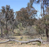 Remembrance Nature Park - Hotel NSW