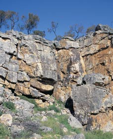 Watheroo National Park - Hotel NSW 0
