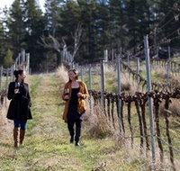 Mount Majura Vineyard - Hotel NSW