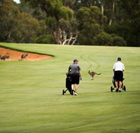 Federal Golf Club - Hotel NSW