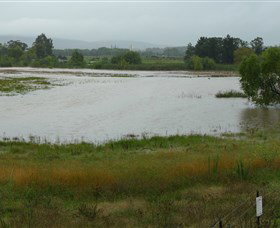 Jerrabomberra Wetlands - Hotel NSW 1