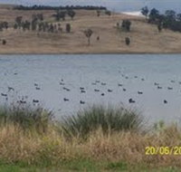 Lake Liddell Recreation Area - Hotel NSW