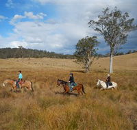 Chapman Valley Horse Riding - Hotel NSW