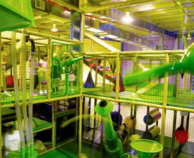 Monkey Mania - Hotel NSW 1