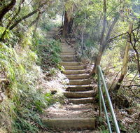 Nature track - Hotel NSW