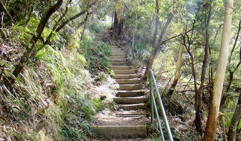 Nature Track - Hotel NSW 0
