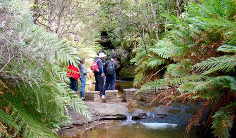 Nature Track - Hotel NSW 1