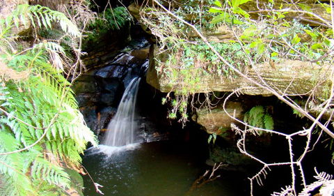 Nature Track - Hotel NSW 2