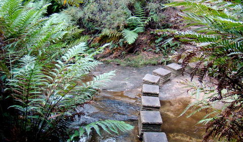Nature Track - Hotel NSW 3