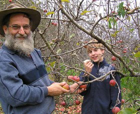 Pine Crest Orchard - Hotel NSW 0