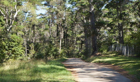 McMahon's Point Ride - Wentworth Falls - Hotel NSW 2