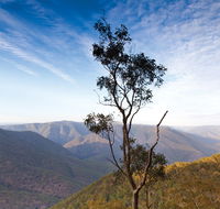 Salisbury Waters walking track - Hotel NSW