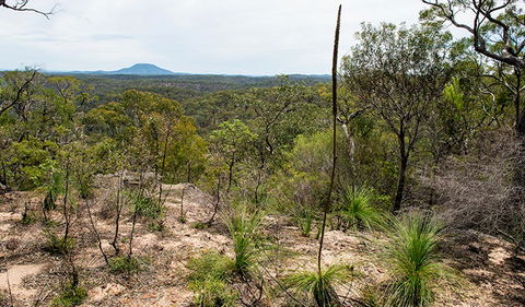 Howes Trail - Hotel NSW 1