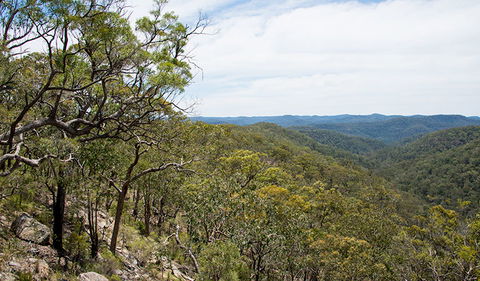 Howes Trail - Hotel NSW 2