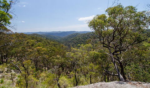 Howes Trail - Hotel NSW 3