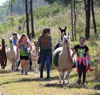 Ottaba Llamas - Hotel NSW