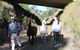 Ottaba Llamas - thumb 1
