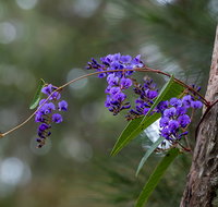 Mann River Nature Reserve - Hotel NSW