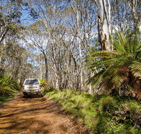 Barrington trail - Hotel NSW