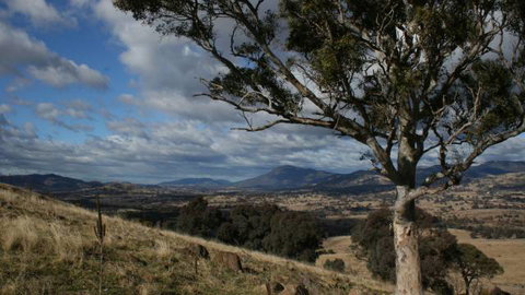 Urambi Hills - Hotel NSW 2