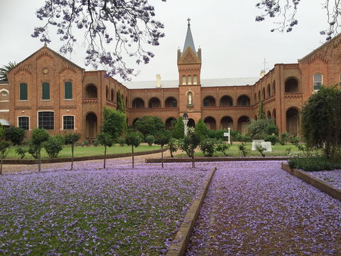 Sacred Spaces At The Sisters Of Mercy Convent - Hotel NSW 12