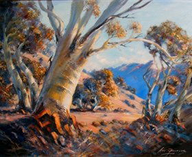 Snowy Mountains NSW Hotel NSW