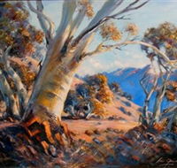 Kunama Snowy Mountains Centre for the Arts - Hotel NSW
