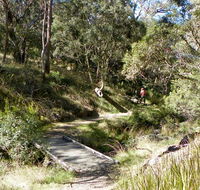 Wollomombi walking track - Hotel NSW