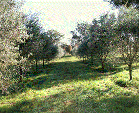 Langdale Farm - Hotel NSW