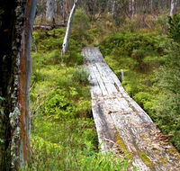 Gloucester Tops circuit - Hotel NSW